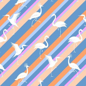  flamingo, crane and heron stripes pink