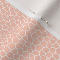 Bee Hive Mosaic Peach