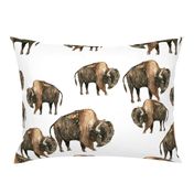 Bison Herd - Larger scale