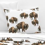 Bison Herd - Larger scale