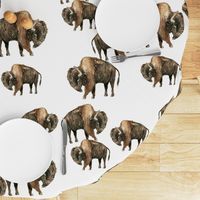 Bison Herd - Larger scale