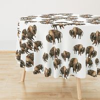 Bison Herd - Larger scale