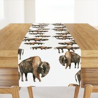 Bison Herd - Larger scale