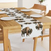 Bison Herd - Larger scale