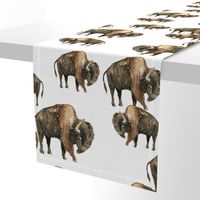 Bison Herd - Larger scale