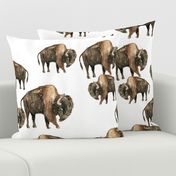 Bison Herd - Larger scale