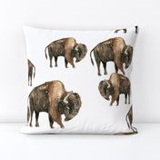 Bison Herd - Larger scale