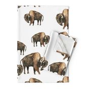 Bison Herd - Larger scale