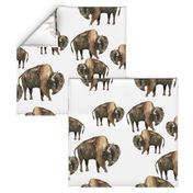 Bison Herd - Larger scale