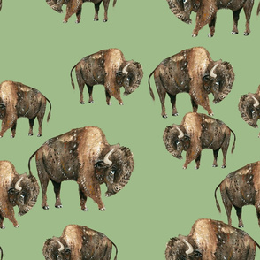 Buffalo Herd on Green - Larger Scale