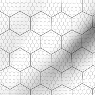 00650807 : hex graph 5