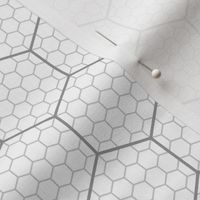 00650807 : hex graph 5