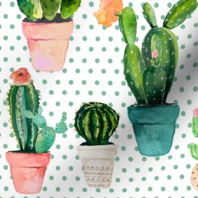 12" Cactus Obsession / Green Polka