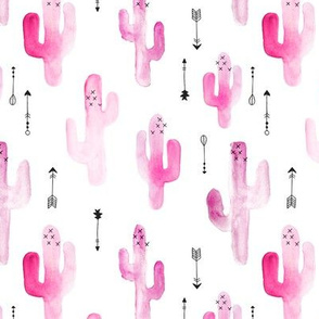 Watercolor western desert cactus illustration indian summer theme with arrows in tropical pink for girls