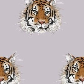 Small Tiger Face on Lilac Grey