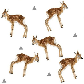 fawns_and_triangles