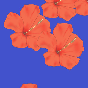 Orange Hibiscus on Bright Blue