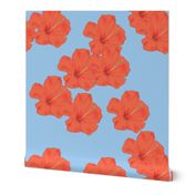 Orange Hibiscus on Sky Blue