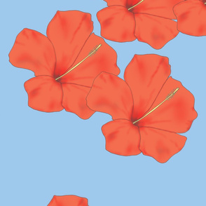 Orange Hibiscus on Sky Blue