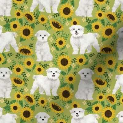 maltese sunflower design cute floral summer design maltese fabrics - green