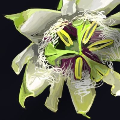 Passion_flowers_1