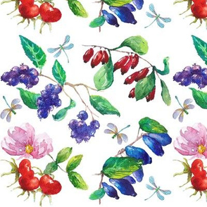 fruit_bushes_watercolor2