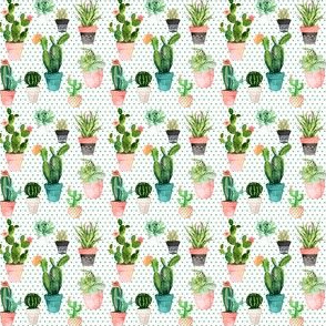 2" Cactus Obsession / Green Polka