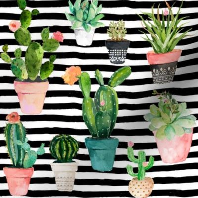 8" Cactus Obsession / Black & White Stripes