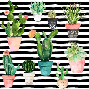 8" Cactus Obsession / Black & White Stripes