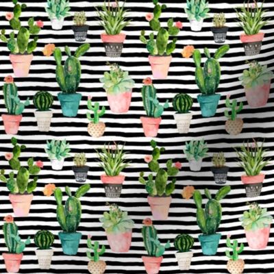 4" Cactus Obsession / Black & White Stripes