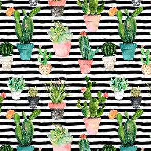 4" Cactus Obsession / Black & White Stripes