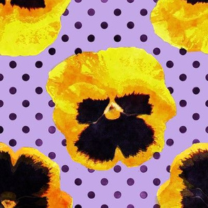 Yellow Pansies Purple Dots