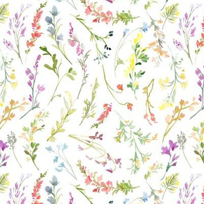 Watercolor wildflowers on white background