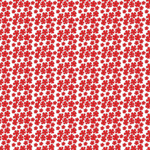 Red flowers on white background