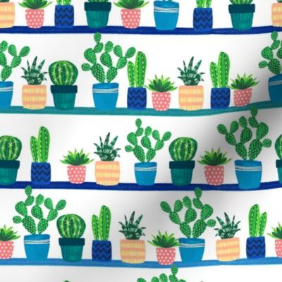 cacti_stripe