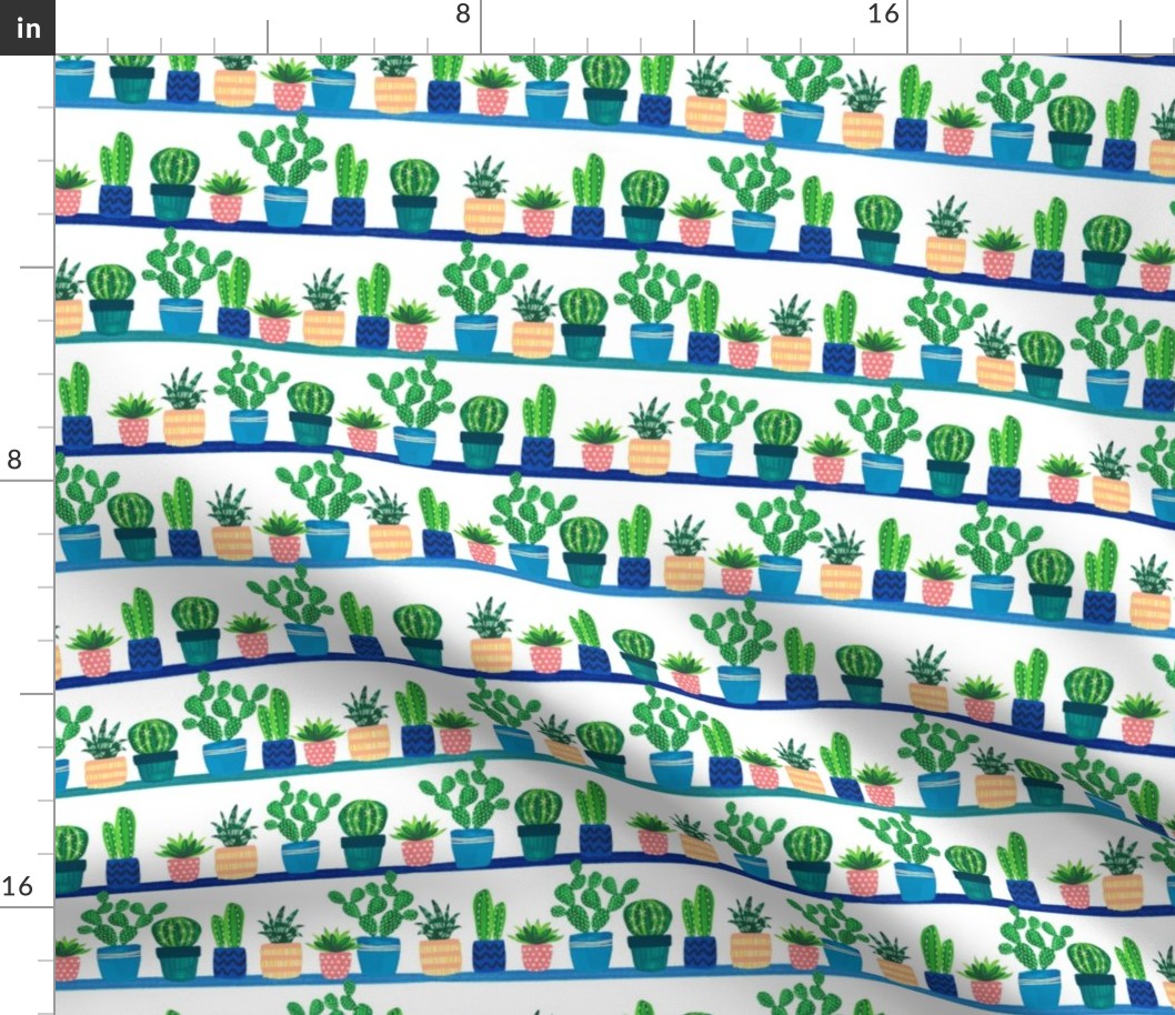 cacti_stripe