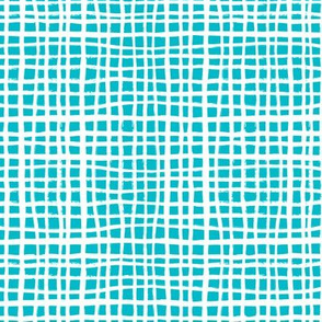 turquoise grid fabric