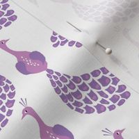 peacock fabric bird birds feathers peacocks nursery baby fabric