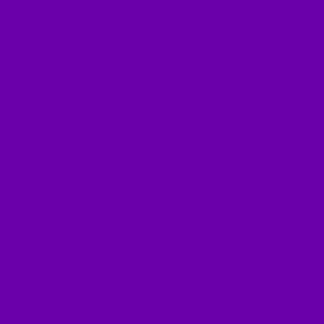 MDZ5 - Vibrant Purple Solid coordinate for Musical Daze MD5