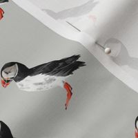 Puffin Party - Smaller Scale on Light Grey