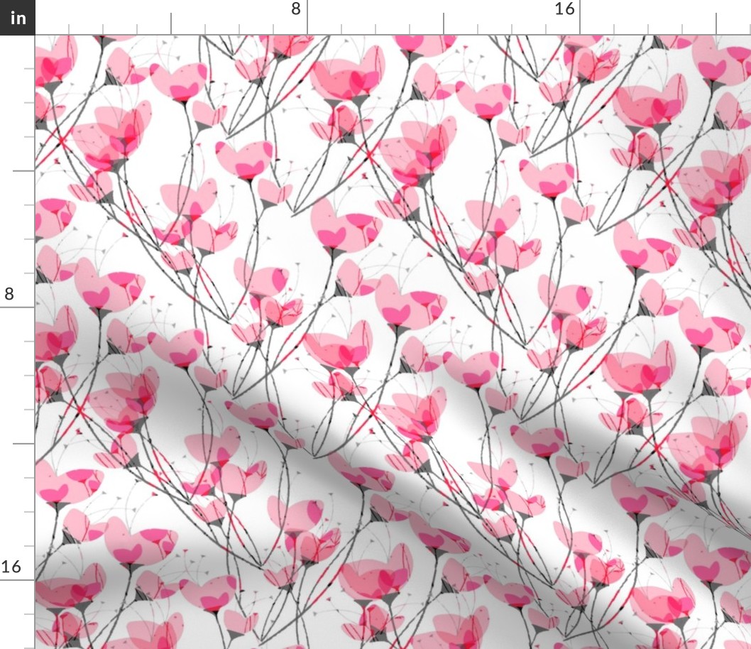 Pink Primrose White Background