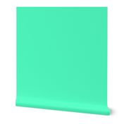 MDZ25 - Solid Seafoam Green - SFGD