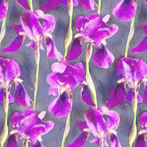 Painted Irises in Warm Magenta Small Print