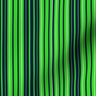 Lime and Blue Stripes Seahawks