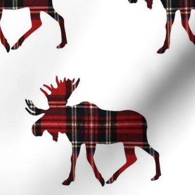 (extra large scale)  plaid moose