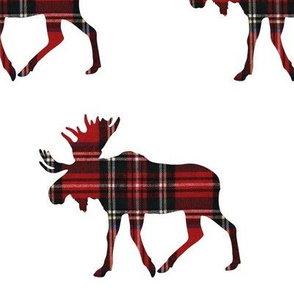 (extra large scale)  plaid moose