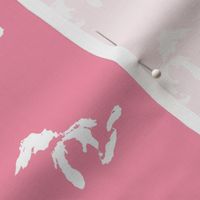 mini Great Lakes silhouette - 3" white on pink