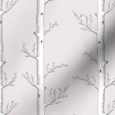 Birch Forest Neutral // standard