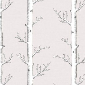 Birch Forest Neutral // standard
