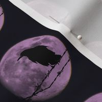 Purple Raven Moon